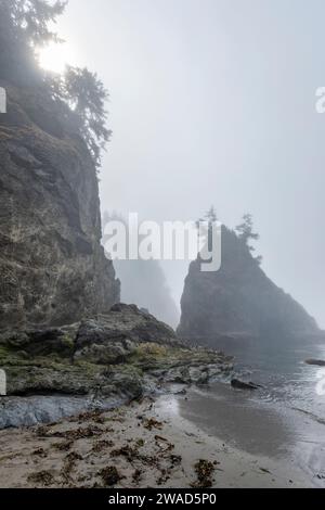 USA, Oregon, Brookings, felsige Küste an nebelhaltigen Tagen Stockfoto