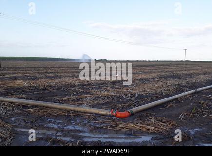 Maceió, Brasilien, 5. Oktober 2023. Bodenbewässerungssystem für Zuckerrohrplantagen in der Nähe der Stadt Maceió im Nordosten Brasiliens. Stockfoto