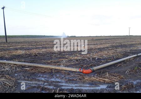 Maceió, Brasilien, 5. Oktober 2023. Bodenbewässerungssystem für Zuckerrohrplantagen in der Nähe der Stadt Maceió im Nordosten Brasiliens. Stockfoto