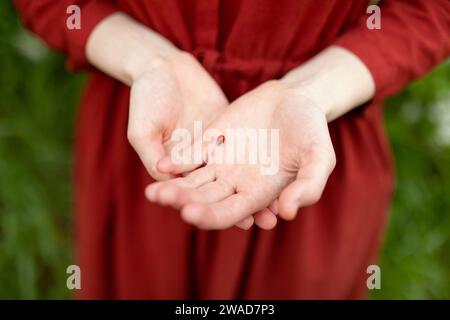 Eine junge Frau, die Marienkäfer in Händen auf der Wiese hält Stockfoto