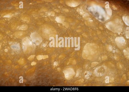 Nahaufnahme von frisch gebackenem Brot Stockfoto