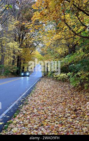 Wayne, Illinois, USA: Eine Landstraße, die durch ein Waldgebiet gleitet, zeigt ihre Farben. Stockfoto