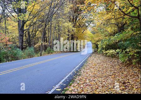 Wayne, Illinois, USA: Eine Landstraße, die durch ein Waldgebiet gleitet, zeigt ihre Farben. Stockfoto