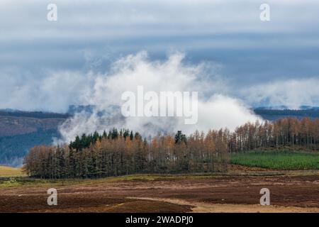 Destillerie-Dampf und niedrige Wolken über Balmoral Anwesen, Aberdeenshire, Schottland Stockfoto