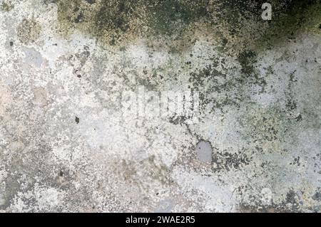 Alter schmutziger grauer Betonhintergrund mit Slick wird für Textur in Kunstdekorationsarbeiten verwendet. Stockfoto