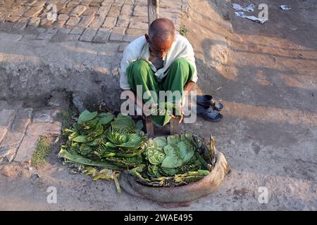 Mann verkauft grünes Betelblatt in Kumrokhali, Westbengalen, Indien Stockfoto