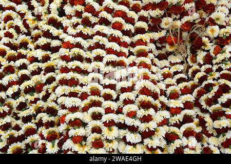 Blumen und Girlanden zum Verkauf auf dem Blumenmarkt in Kalkutta, West Bengal, Indien Stockfoto