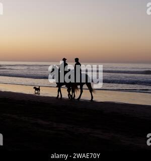 Reiter und ein Hund in Silhouette am Strand bei Sonnenuntergang in Essaouira, Marokko, 3. Januar 2024 Stockfoto