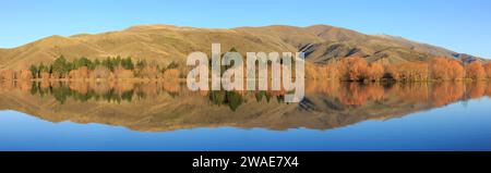 Panoramablick auf Herbstbäume, die sich im ruhigen Wasser des Lake Ruitaniwha in der Nähe von Twizel, Neuseeland, spiegeln Stockfoto