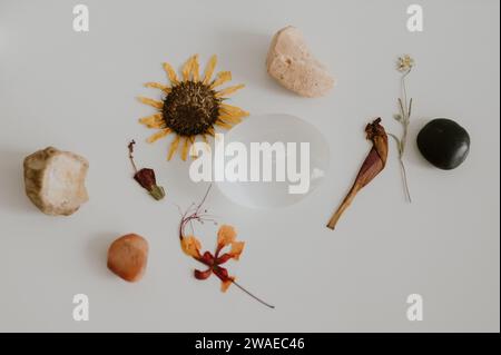 Ein Blick von oben auf ein Stillleben mit getrockneten Blumendekorationen und Steinen Stockfoto