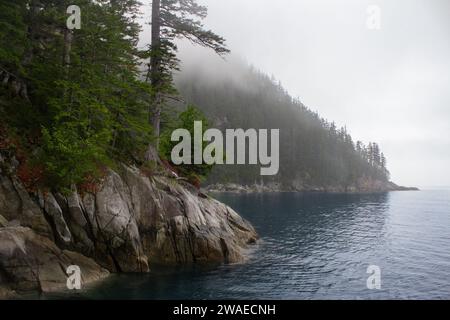 Ein malerischer Blick auf den Pazifik in Alaska mit großen Felsen, die aus dem Wasser ragen, und hohen Bäumen Stockfoto
