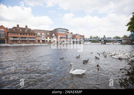 Blick auf die Windsor Eton Bridge, über die Themse zwischen Windsor und Eton in Großbritannien Stockfoto