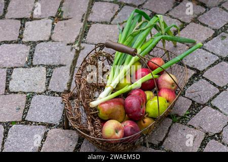 Korb mit Äpfeln und Gemüse Stockfoto