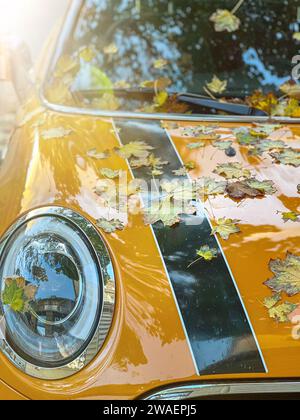Gelb gefallene Ahornblätter auf einem gelben Auto Stockfoto
