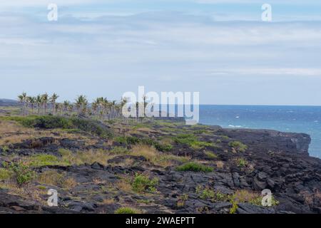 Panoramablick auf den Holei Sea Arch im Volcanoes National Park auf der Big Island von Hawaii Stockfoto