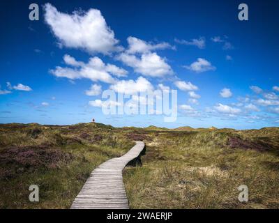 Eine ruhige Szene auf einem Holzweg durch Dünen am Meer Stockfoto