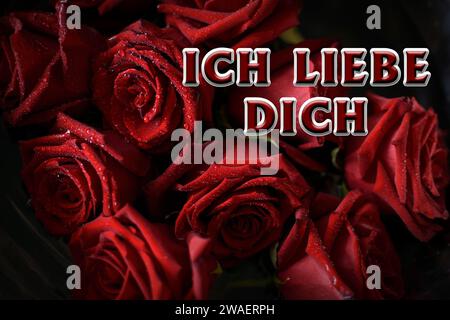 Ich liebe dich, Deutsch, denn ich liebe dich. Festliche Kulisse aus roten Rosen mit Wassertropfen auf den Blütenblättern Stockfoto
