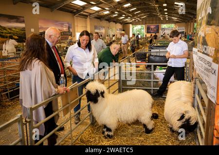 Großbritannien, England, Worcestershire, Malvern Wells, Royal 3 Counties Show, Wallis Blacknose Schafe aus Sammia Shails Herde aus Birtmorton, Malvern im Indoor Stockfoto