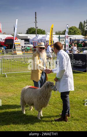 Großbritannien, England, Worcestershire, Malvern Wells, Royal 3 Counties Show, Leicester Longwool Schafe im Ring werden vom Richter mit dem ersten Preis ausgezeichnet Stockfoto