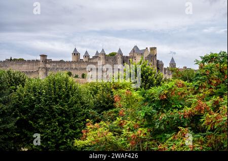 Bäume im Herbst und die ummauerte Stadt Carcasonne, Frankreich, mit bewölktem Himmel bei Sonnenuntergang. Stockfoto