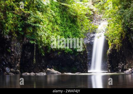 Wainibau Falls, Lavena Coastal Walk, Bouma National Heritage Park, Taveuni, Fidschi Stockfoto