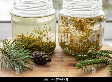 Herstellung von Sirup aus frischen Kiefernnadeln und Fichtennadeln. Glasgläser mit Nadeln, die in der Küche mit Wasser infundiert sind. Stockfoto