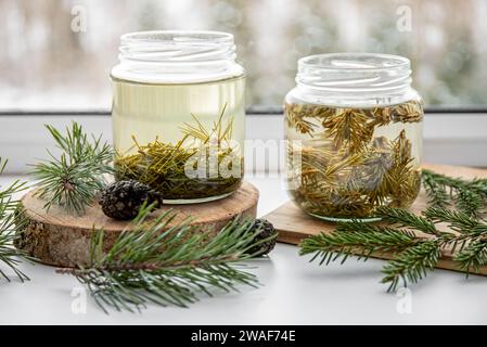 Herstellung von Sirup aus frischen Kiefernnadeln und Fichtennadeln. Glasgläser mit Nadeln, die in der Küche mit Wasser infundiert sind. Stockfoto