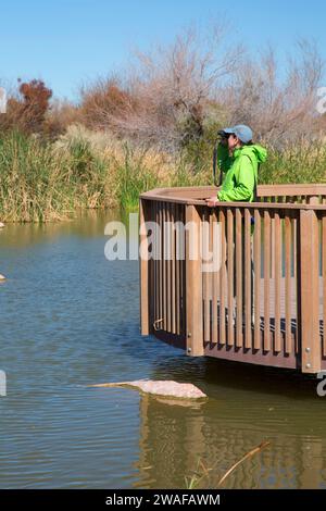 Aussichtsplattform, Clark County Wetlands Park, Las Vegas, Nevada Stockfoto