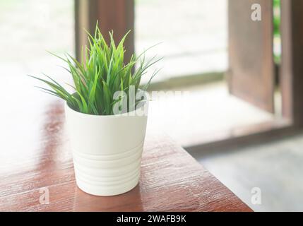 Schlangenpflanze im weißen Blumentopf auf dem Tisch steht im Restaurant mit sanftem Licht am Abend. Stockfoto