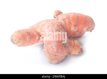 Kurkuma-Rhizom (Wurzel), Curcuma Longa Linn, ist auf weißem Hintergrund mit Beschneidungspfad isoliert. Stockfoto