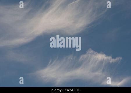 Hohe, dünne Wolken, die an einem Sonntagmorgen teilweise den Halbmond verdecken Stockfoto