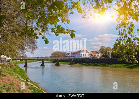 Ufer der uzh. Wunderschöne Stadtkulisse im Sommer. Blick unter dem Schatten einer Lindenzweige. Brücke in der Ferne Stockfoto