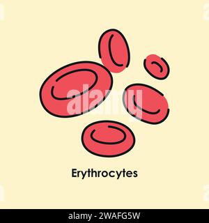Farbsymbol für Erythrozyten. Erythrozyten in den Gefässen. Vektor-isolierte Abbildung. Stock Vektor