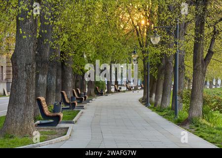 Die längste in Europa Lindenallee in Uzhgorod Stadt. Zarte grüne Laub der frühen Frühling. Ukraine, Europa Stockfoto