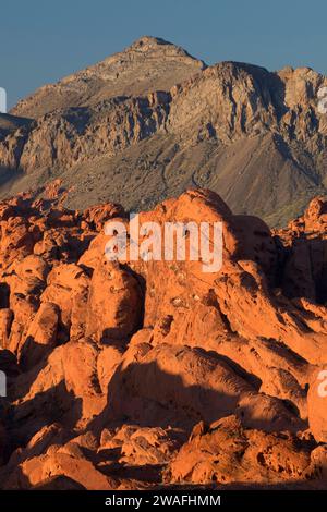 Ansicht im weißen Kuppeln, Valley of Fire State Park, Nevada Stockfoto