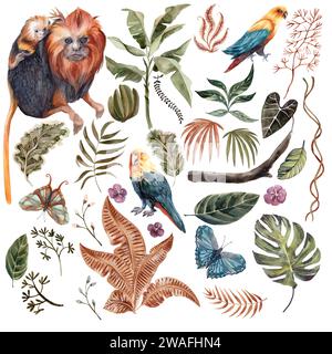 Wunderschönes großes Aquarell mit tropischen Blättern, Papageien und Affen auf weißem Hintergrund. Zeichnungen in stummgeschalteten Tönen. Zeichnung für die Gestaltung von Sou Stockfoto