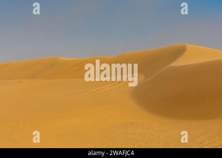 Die farbenfrohen, wechselnden Sanddünen der Namib-Wüste. Stockfoto