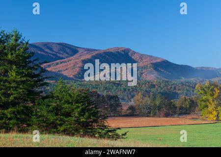 Herbst in Cades Cove im Great Smoky Mountains National Park Stockfoto