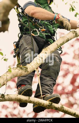 Der Arbeiter auf einem riesigen Baum Stockfoto