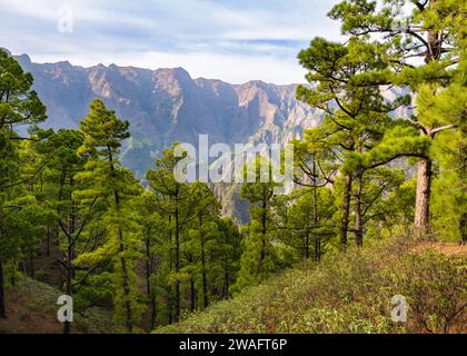 Blick vom Mirador de la Cumbrecita im Nationalpark Caldera de Taburiente auf La Palma, Kanarische Inseln, Spanien. Stockfoto