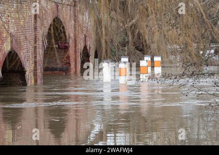 Sonning, Berkshire, Großbritannien. Januar 2024. Für die Themse in Sonning, Berkshire, ist ein Hochwasseralarm vorhanden. Maureen McLean/Alamy Live News Stockfoto