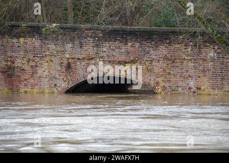 Sonning, Berkshire, Großbritannien. Januar 2024. Für die Themse in Sonning, Berkshire, ist ein Hochwasseralarm vorhanden. Maureen McLean/Alamy Live News Stockfoto