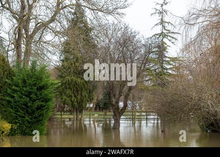 Sonning, Berkshire, Großbritannien. Januar 2024. Für die Themse in Sonning, Berkshire, ist ein Hochwasseralarm vorhanden. Maureen McLean/Alamy Live News Stockfoto