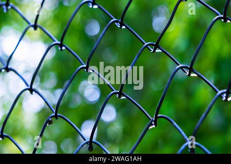 Wassertropfen auf den Drahtzaun Stockfoto