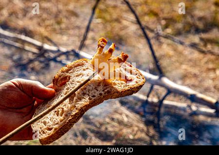 Ein Mann hält ein Stück geröstetes Brot mit gebratenem Speck ein offenes Feuer in der Natur, Slanina, traditionelle Speisen in Rumänien Stockfoto