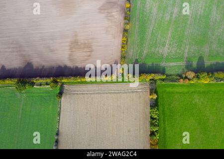 Blick aus der Vogelperspektive über ländliche Bocage-Landschaft mit Feldern und Weiden, Flickenteppich von Hecken und Hecken, Schleswig-Holstein, Deutschland Stockfoto