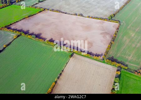Blick aus der Vogelperspektive über ländliche Bocage-Landschaft mit Feldern und Weiden, Flickenteppich von Hecken und Hecken, Schleswig-Holstein, Deutschland Stockfoto