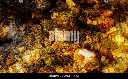 goldene Felsen unter kristallklarem Wasser Stockfoto