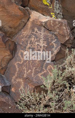 Petroglyphen von White River Narrows, Waschbecken und Range National Monument, Caliente Bezirk Büro des Land-Managements, Nevada Stockfoto