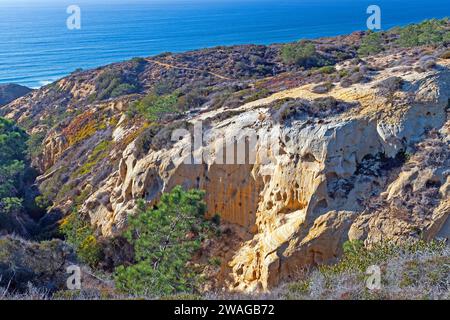 Coastal Cliffs im Abendlicht im Torrey Pines State Natural Preserve in Kalifornien Stockfoto